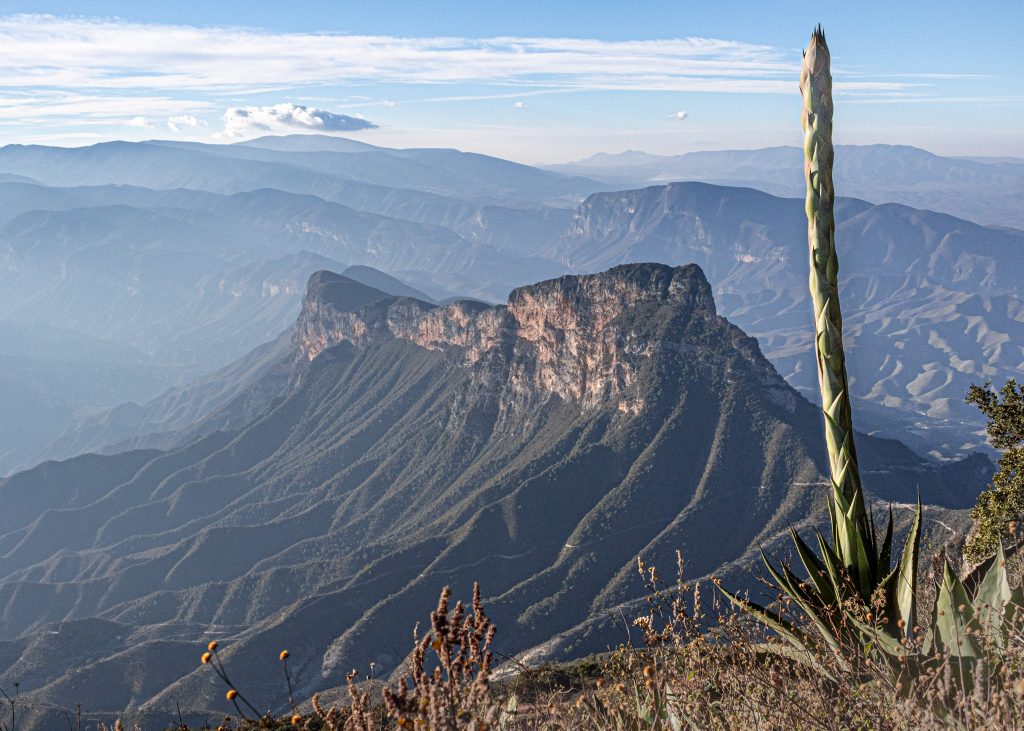 reservar boletos de autobús para recorrer la Sierra Gorda