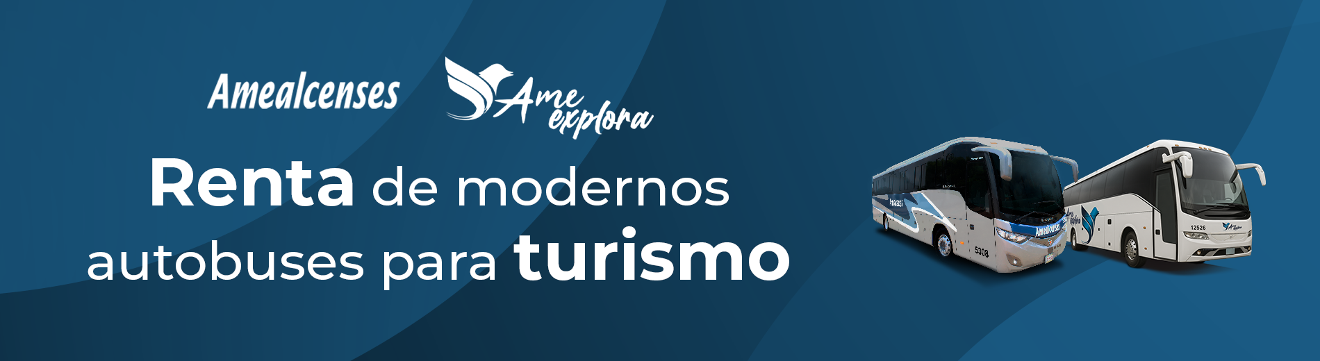 Autobuses turismo